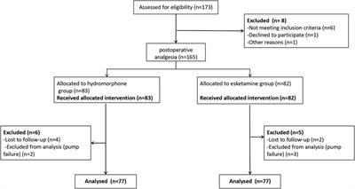 Safety and efficacy of esketamine for postoperative analgesia in pediatric patients with hypospadias